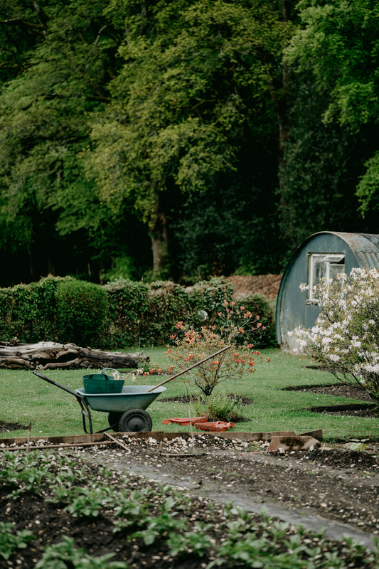 Transform Your Outdoor Space with Must-Have Garden Essentials