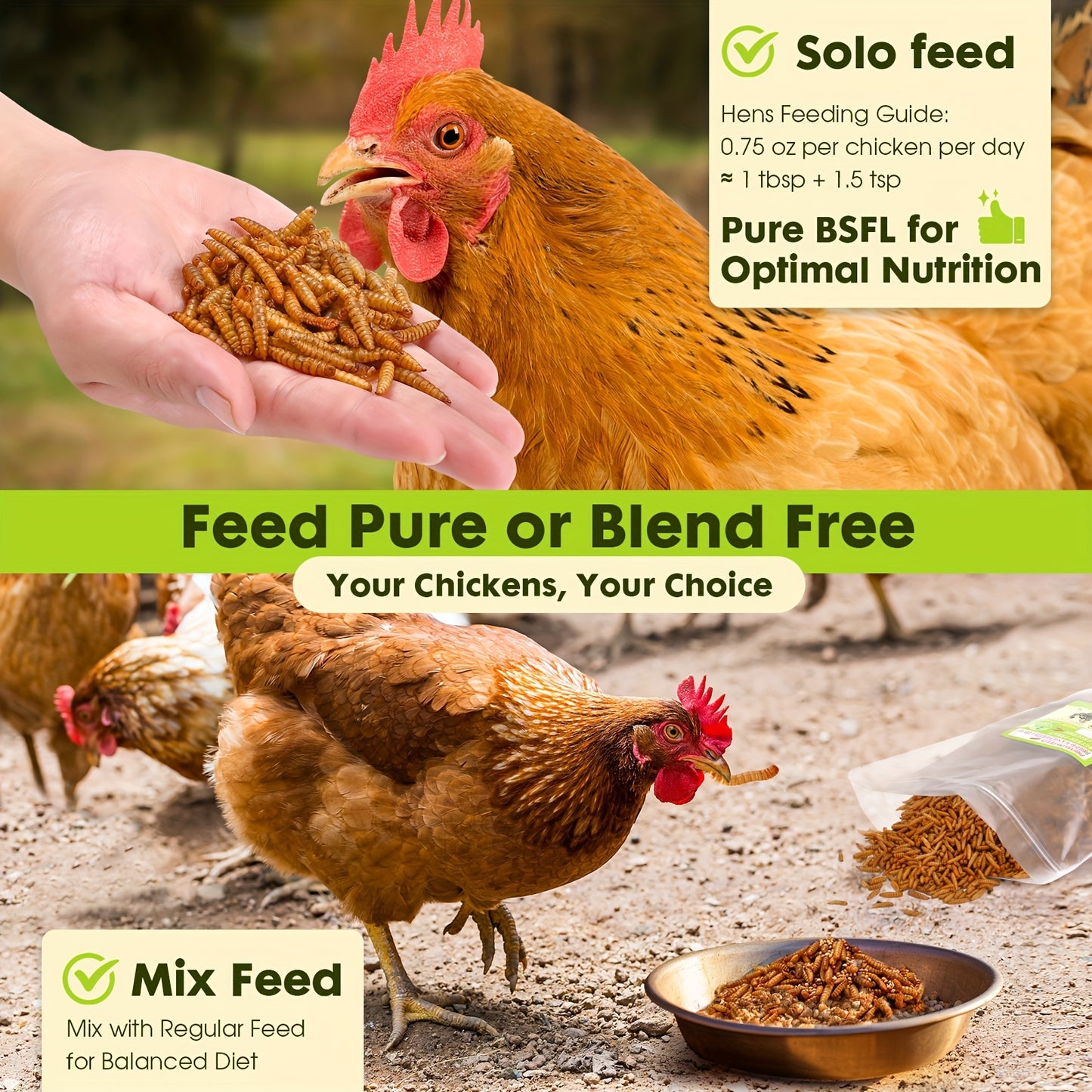 10LBS Dried Black Soldier Fly Larvae, High Protein Chicken Feed, 5 packs