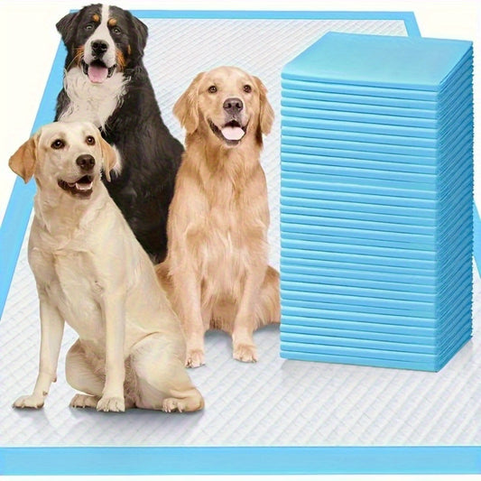 100PCS Large 22" X 22" Premium Puppy Training Pads, Housebreaking Essentials