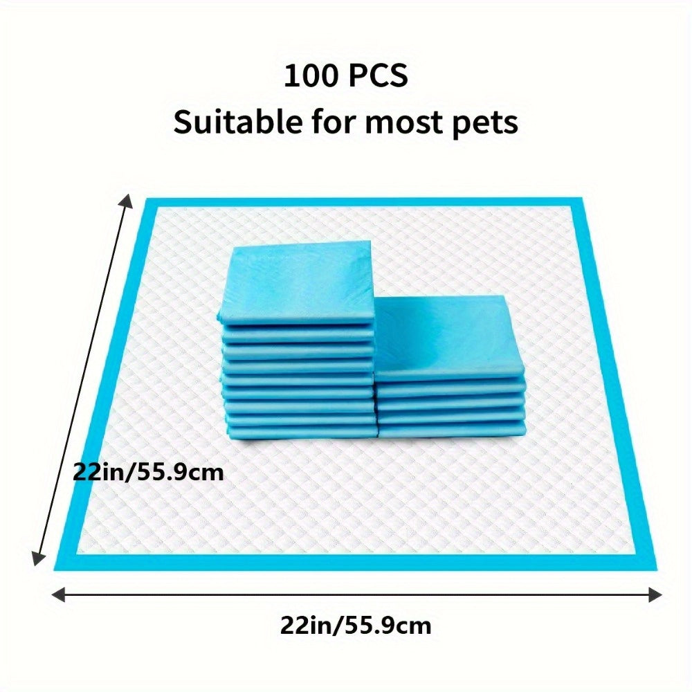 100PCS Large 22" X 22" Premium Puppy Training Pads, Housebreaking Essentials