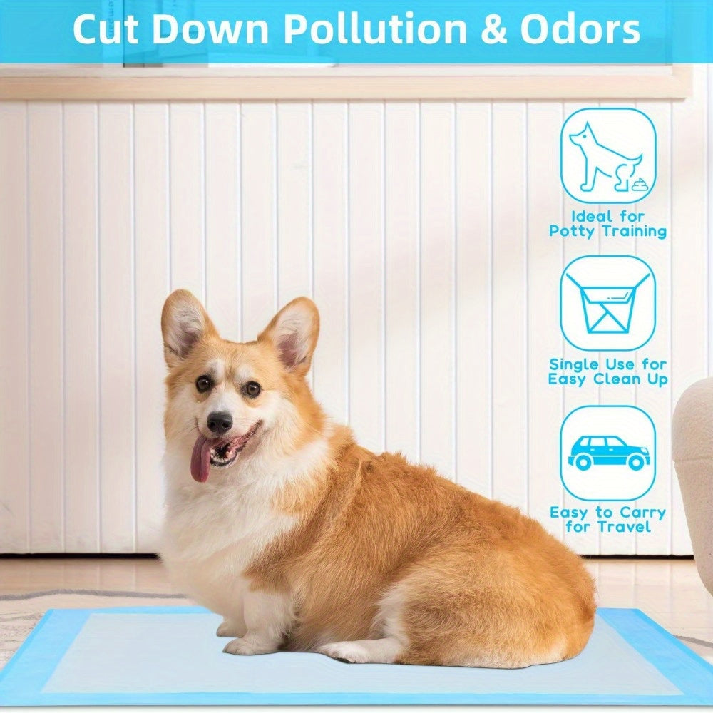 100PCS Large 22" X 22" Premium Puppy Training Pads, Housebreaking Essentials