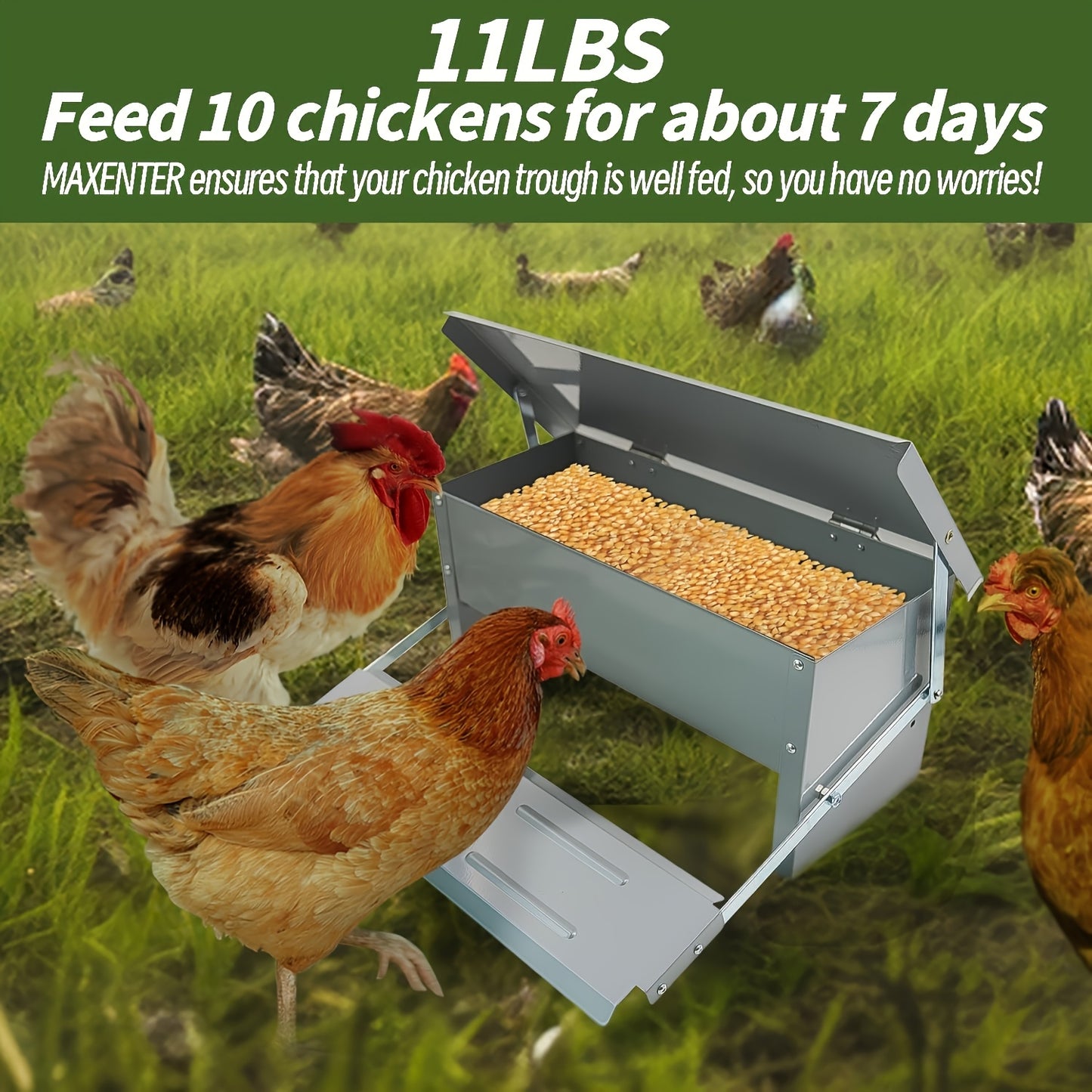 Automatic Long Lasting Galvanized Poultry Feeder With Rain Cover