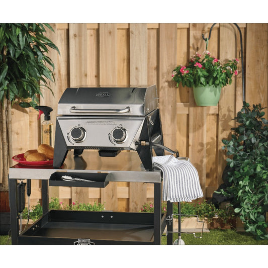 Expert Grill 2-Burner Tabletop Gas Grill, Stainless Steel, 13,000 BTUs