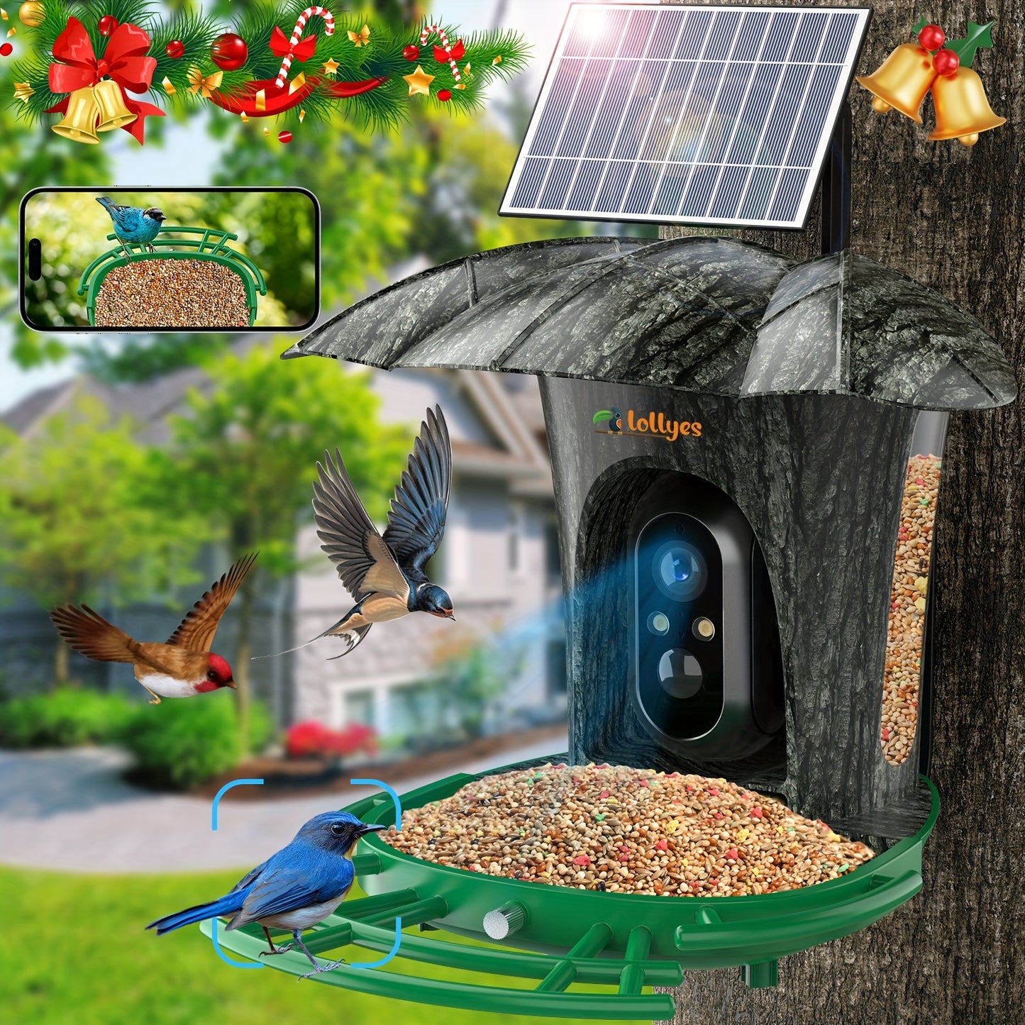 1080P Intelligent Bird Feeder Camera - Read More.