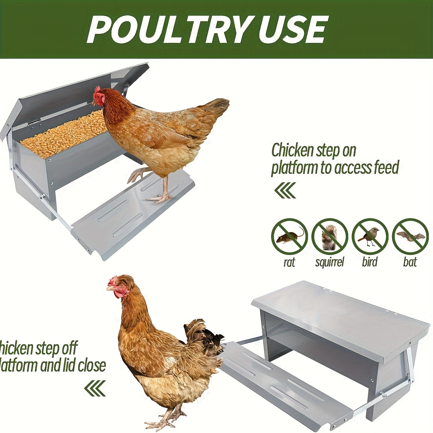 Automatic Long Lasting Galvanized Poultry Feeder With Rain Cover