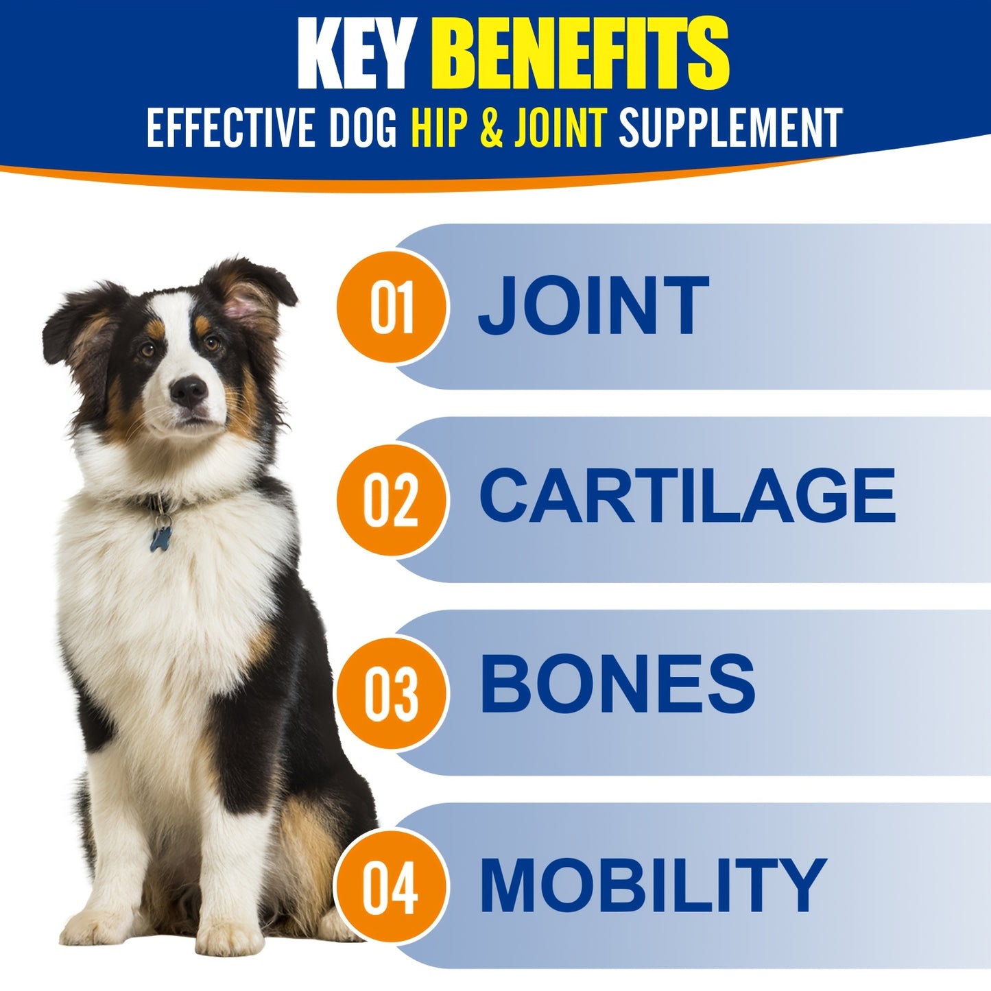 Hip & Joint Supplement For Dogs, 10oz Glucosamine Chews for Dogs, Read More