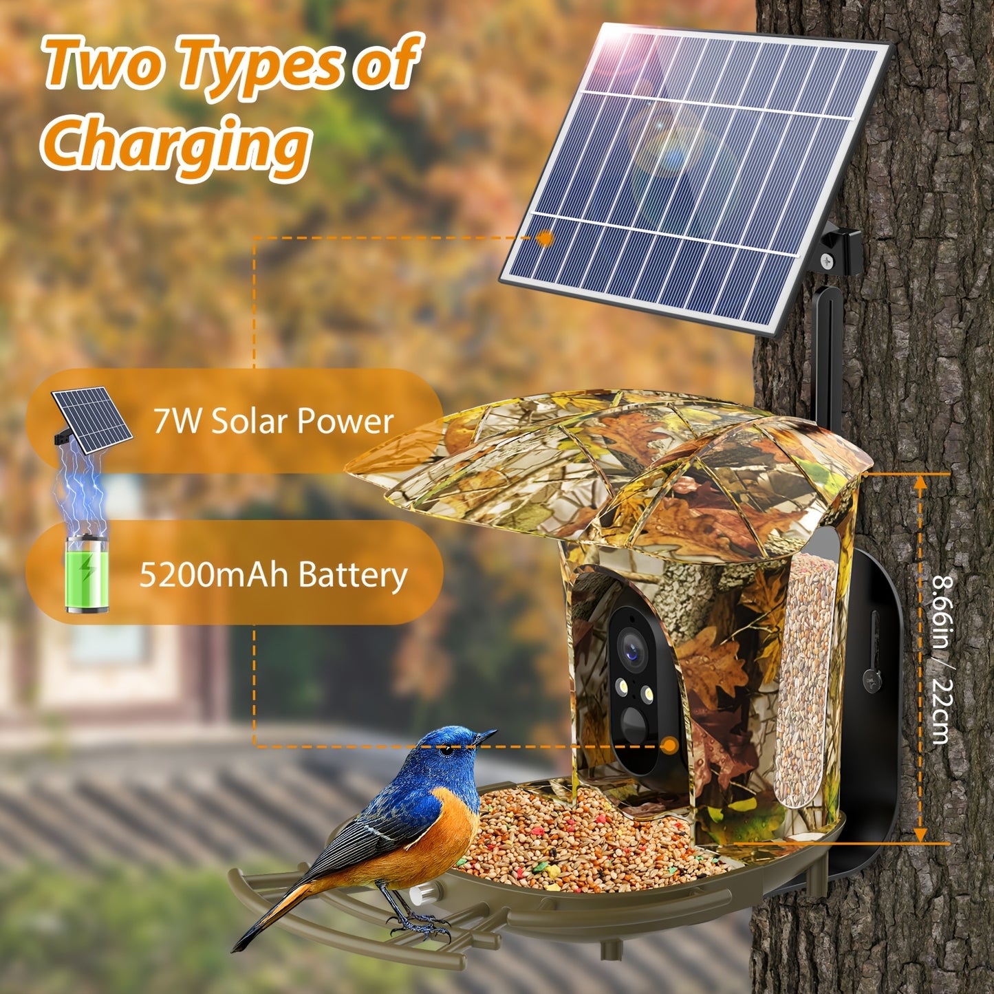 1080P Intelligent Bird Feeder Camera - Read More.