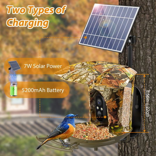 1080P Intelligent Bird Feeder Camera - Read More.
