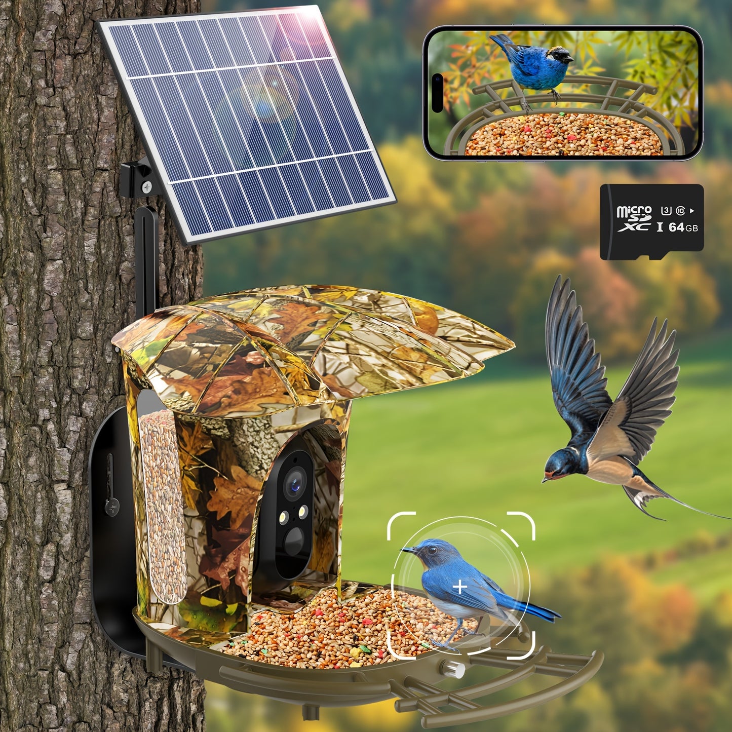 1080P Intelligent Bird Feeder Camera - Read More.