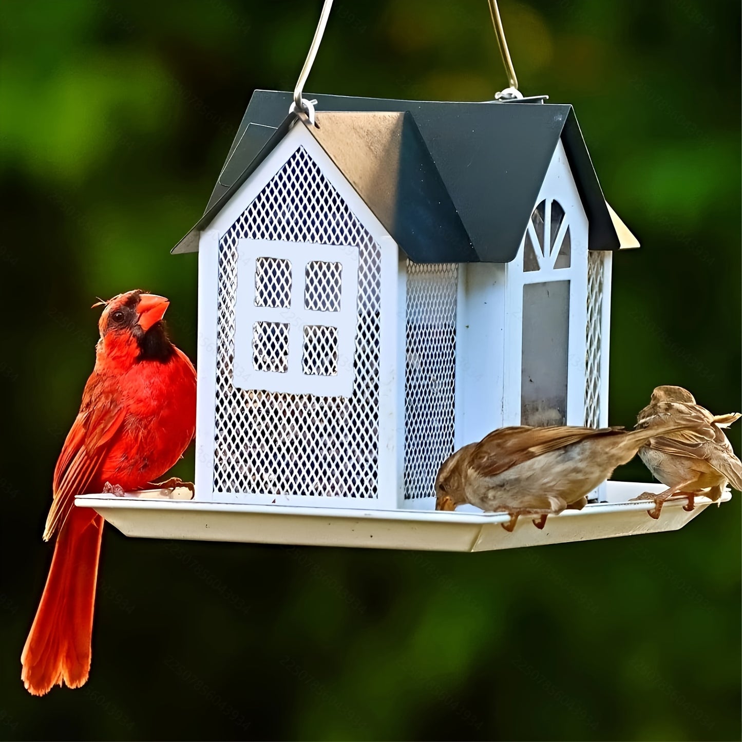 Large Outdoor Bird Feeder Metal Mesh & Triple Feeders Read More