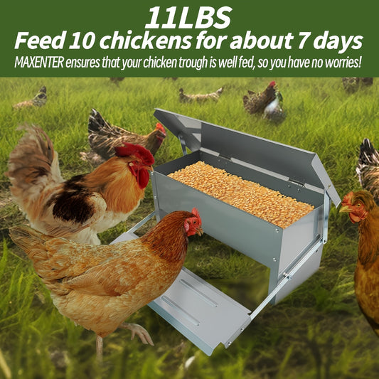 Automatic chicken feeder-galvanized metal feeder kit Read More